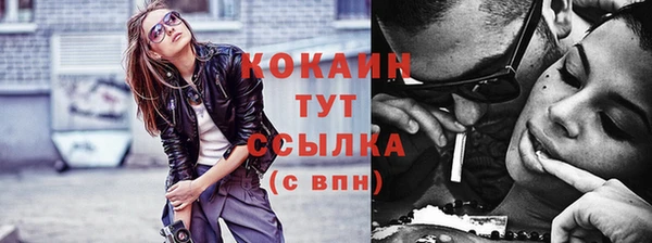 крисы Вязники