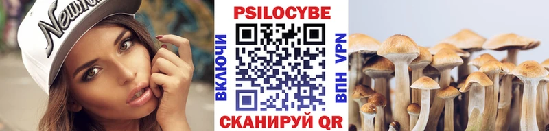 Купить  Никольск  Галлюциногенные грибы мицелий 